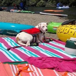 Meet your Posher, Debora